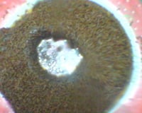 Cocada simples e prática