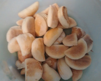 Massa para esfiha ou pastel assado