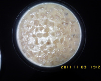 Sobremesa de Abacaxi