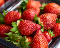 Nem leite condensado, nem iogurte: esse é o ingrediente que poucos sabem que realça o sabor do morango