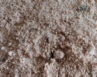 Cuca de uva com creme