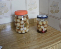 Conserva de cebola