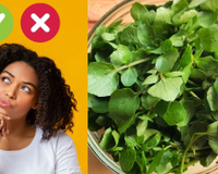 Benefícios e malefícios do agrião: saiba por que comer essa folha poderosa pra saúde, quanto consumir e cuidados