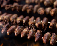 Coração de frango (coraçãozinho de galinha) para churrasco do Luizão