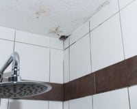 Cansado do mofo do teto do banheiro? Essa é a técnica de ventilação que ajuda a evitar o problema de um jeito simples