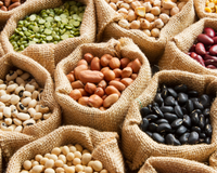 Este alimento era consumido no Egito Antigo e hoje chama atenção pelo alto teor de ferro: o TudoGostoso explica