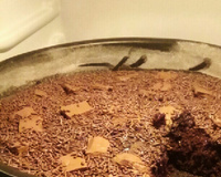 Bolo de chocolate molhado