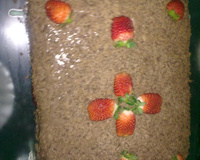 Torta de chocolate com chantilly