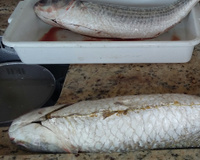 Taínha recheada com farofa