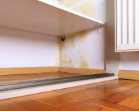 Minha avó sempre fez isso para evitar mofo no guarda-roupa e agora os especialistas confirmam que funciona