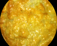 Pão de queijo de tapioca na frigideira