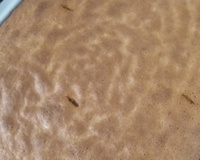 Bolo de banana (super fofinho)