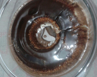 Pudim gelado tipo sorvete