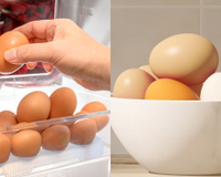 Onde devo guardar os ovos? Dentrou ou fora da geladeira? Veja o que os especialistas tem a dizer!