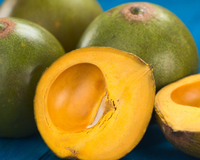 Conhecida como o ouro dos Incas, essa fruta andina é considerada um superalimento: descubra no TudoGostoso os benefícios da lúcuma