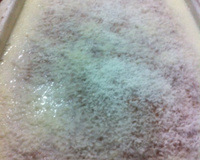 Bolo gelado de liquidificador