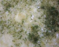 Purê de batata doce com salsinha