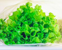 Eu só conseguir ter alface por mais de uma semana na geladeira depois que eu descobri que esse é o jeito certo de guardar