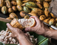 5 alimentos que ajudam a aumentar os níveis de testosterona