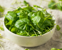 Agrião é o alimento mais saudável de todos, segundo novo estudo. Descubra benefícios do vegetal e veja dicas de receitas!