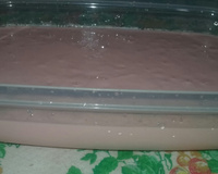 Sobremesa tipo danone caseiro