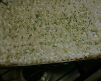 Torta de limão simples