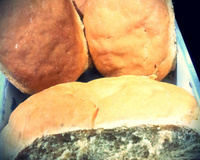 Pão caseiro para principiantes