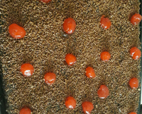 Pão de ló de liquidificador