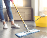 Dicas de limpeza da casa para quem tem animais de estimação