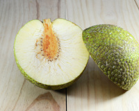 Saiba tudo sobre a fruta-pão