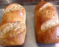 Pão integral caseiro