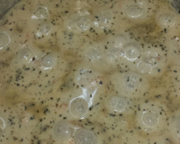 Macarrão com salmão e camarão