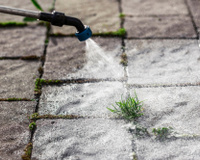 Nada de vinagre branco: esse produto de uso diário é o favorito dos jardineiros para acabar de vez com ervas daninhas sem esforço