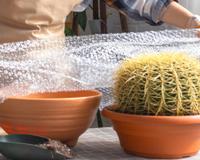 Poucos sabem, mas aprendi com um jardineiro experiente: o plástico bolha é um tesouro para o seu jardim!