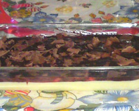 Delícia de chocolate e morango