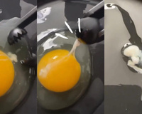 Com quantos você descobriu o que é a parte branca que flutua no ovo?