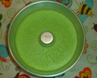 Mousse de aipo da Paulinha