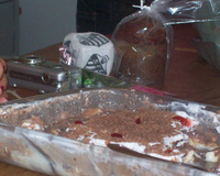 Pavê de Bis bicolor