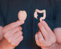 Probióticos e saúde mental: o intestino realmente é nosso “segundo cérebro”?