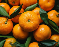 Nunca mais escolha tangerina azeda: TudoGostoso ensina o truque simples para descobrir se a fruta está doce antes de descascar