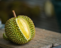 Durian: saiba mais sobre a fruta polêmica