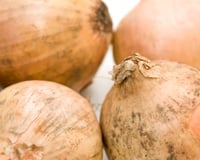 O que é o pó preto que aparece na cebola? Saiba o que fazer quando encontrar isso no alimento