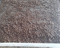 Bolo de chocolate simples