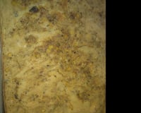 Torta salgada de sardinha