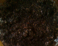 Pavê de chocolate fácil