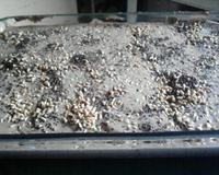 Meu pavê de chocolate