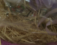 Costelinha de Porco no Mel e Sal Grosso