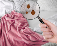 Nem mofo, nem cheiro ruim: o jeito certo de cuidar das mantas no inverno vai te salvar desses problemas