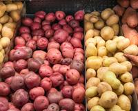 Diferentes tipos de batatas e receitas