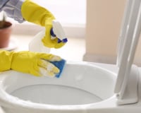 Experimentei jogar vinagre no vaso sanitário e, 10 minutos depois, toda a família elogiou a ideia!